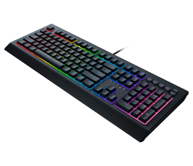 Razer Cynosa V2 - 581828 - zdjęcie 4